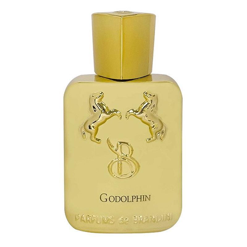 برندینی گودولفین ـEDP مردانه